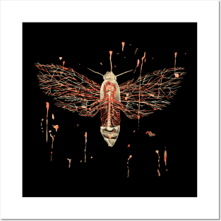 Anatomical Death's Head Hawk Moth Posters and Art